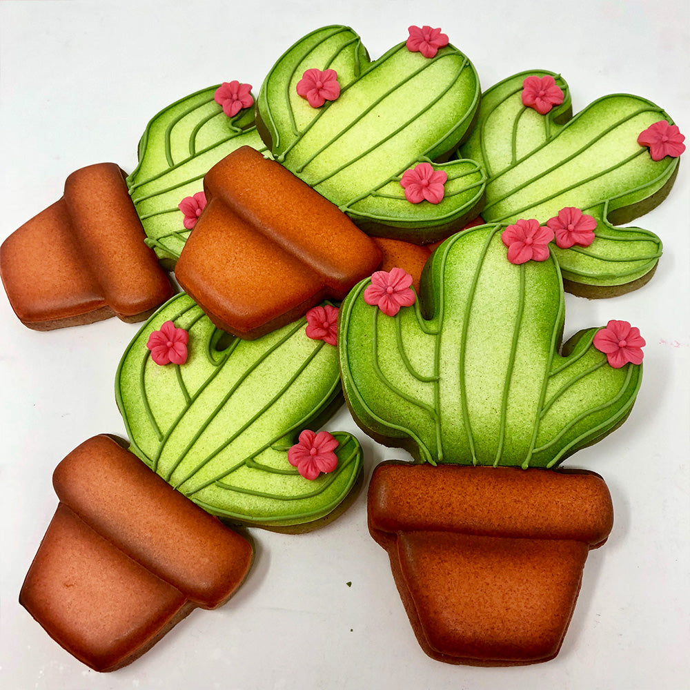 cactus cookies on a white background
