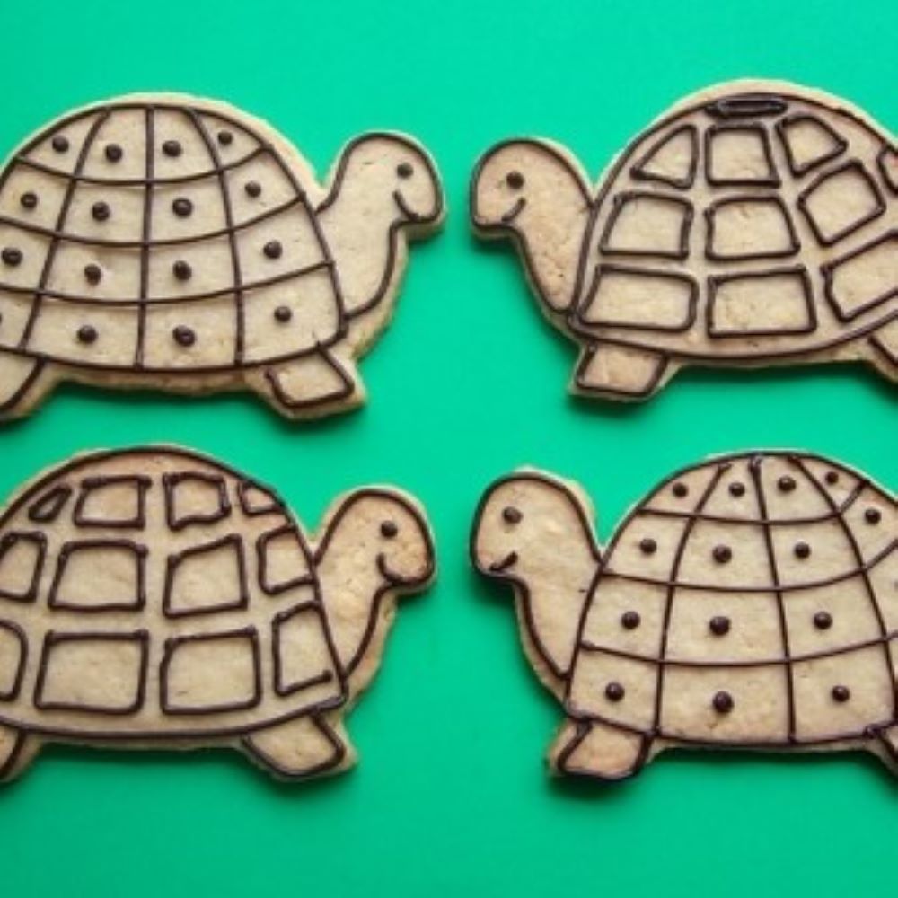 four turtle shaped cookies with black detail icing on a green background