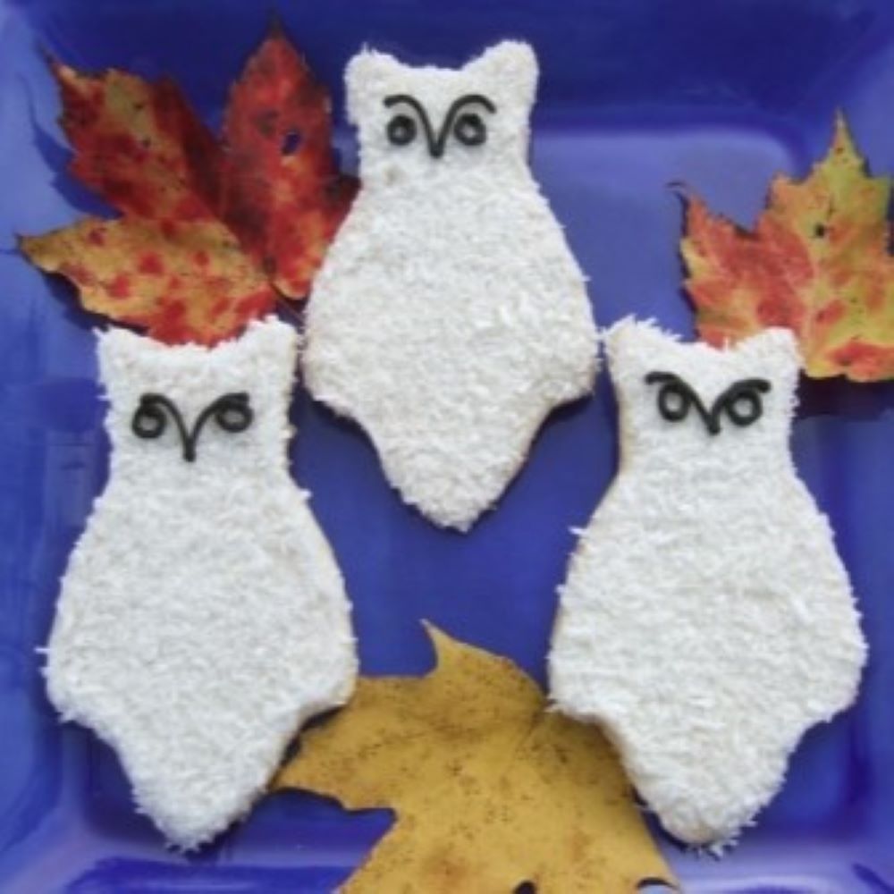 owl shaped cookies covered in coconut with black detailed icing on a blue plate with maple leaves