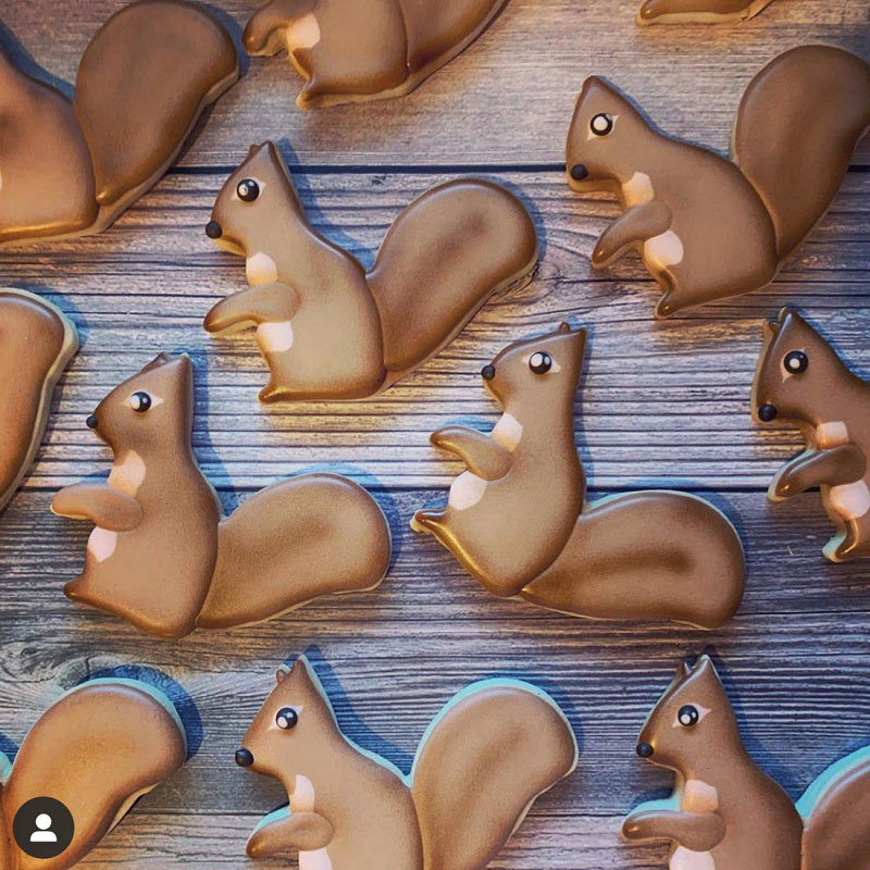 Squirrel Cookie Cutter